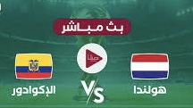 بث مباشر.. شاهد مباراة هولندا ضد الإكوادور في كأس العالم 2022 