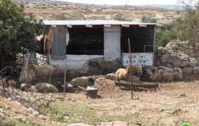 الاحتلال يخطر بإزالة حظيرتي ماشية شرق طوباس