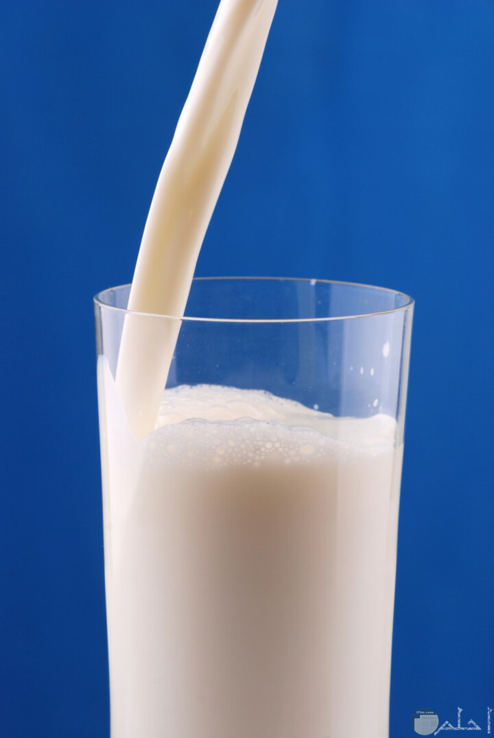 تعرف على فوائد شرب كاسة من الحليب قبل النوم