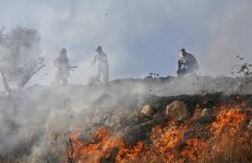مستوطنون يضرمون النار بأراض زراعية شمال نابلس