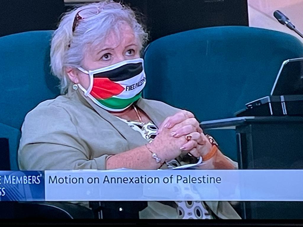 البرلمان الايرلندي يصوت لصالح إدانة الضم الفعلي للأراضي الفلسطينية والتهجير القسري