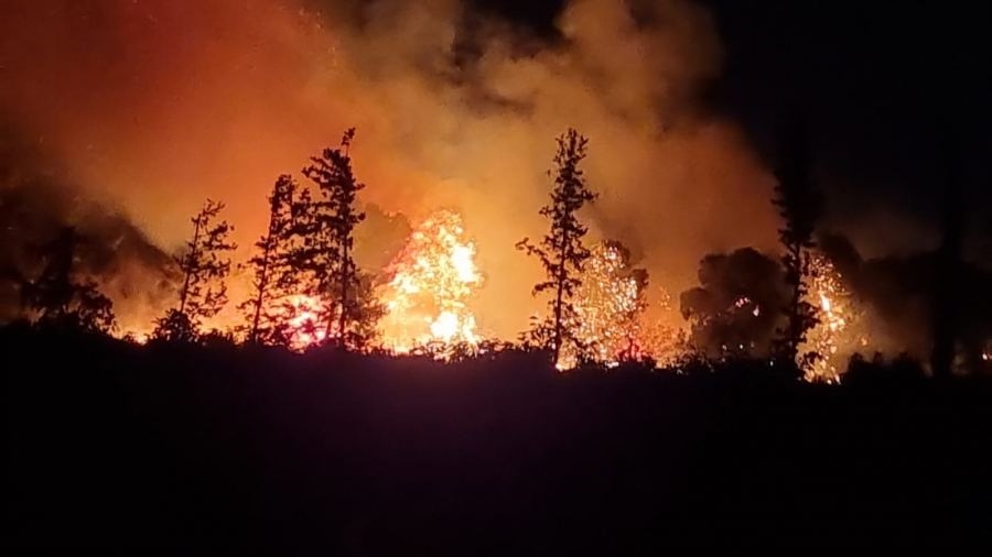 الجليل: اندلاع حريق هائل في أحراش بين طمرة وكابول