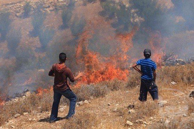 مستوطنون يضرمون النار في أراضي بورين جنوب نابلس