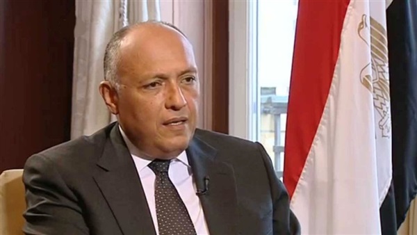 وزير الخارجية المصري: هناك مصالح متضاربة داخل مجلس الأمن والبعض يتردد في مناقشة قضايا المياه