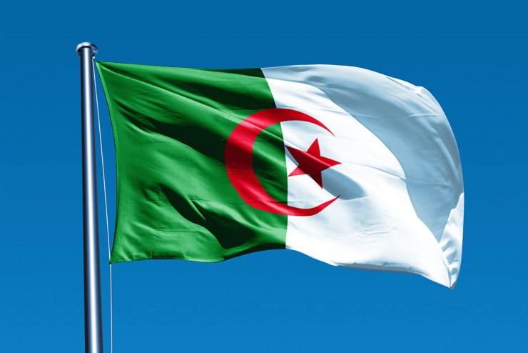 الخارجية الجزائرية تدين مجزرة الاحتلال في مخيم جنين