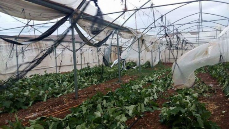 زراعة غزة تنشر جملة إرشادات هامة للمزارعين لتفادي أضرار المنخفض