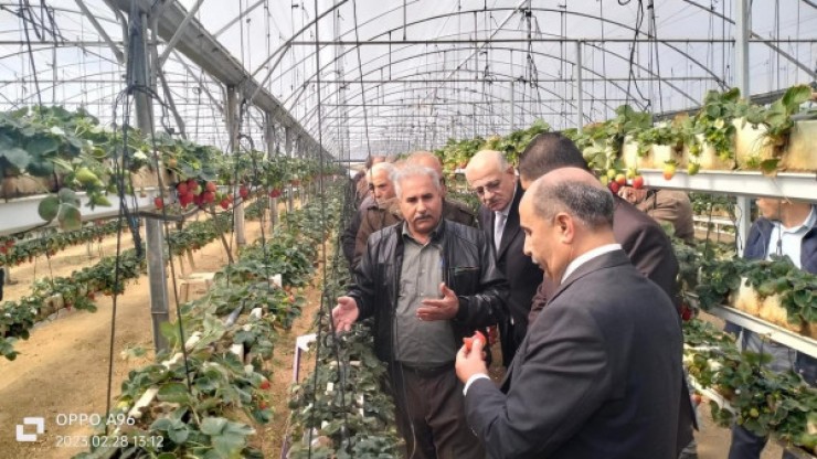 غزة: وزير الزراعة يعلن إطلاق المرحلة الثانية من برنامج المساعدات الزراعية 