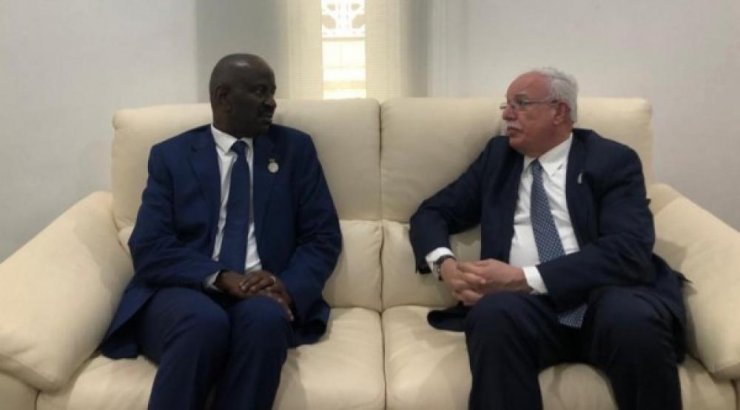 خلال لقائه المالكي.. وزير خارجية غينيا يؤكد التزام بلاده الكامل تجاه القضية الفلسطينية في المحافل كافة