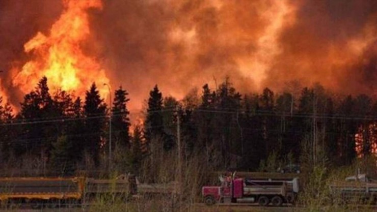 إعلان حالة الطوارئ وإجلاء 25 ألفا من سكان ألبرتا الكندية جراء حرائق غابات