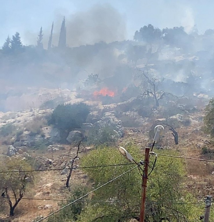 مستوطنون يحرقون محاصيل زراعية في ترمسعيا شمال رام الله