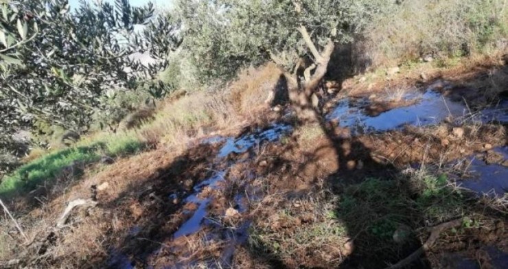 مستوطنون يضخون مياها عادمة في أراضي نحالين غرب بيت لحم