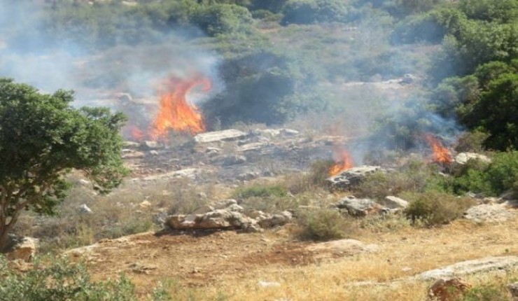 نابلس: مستوطنون يضرمون النيران في أراضي بورين