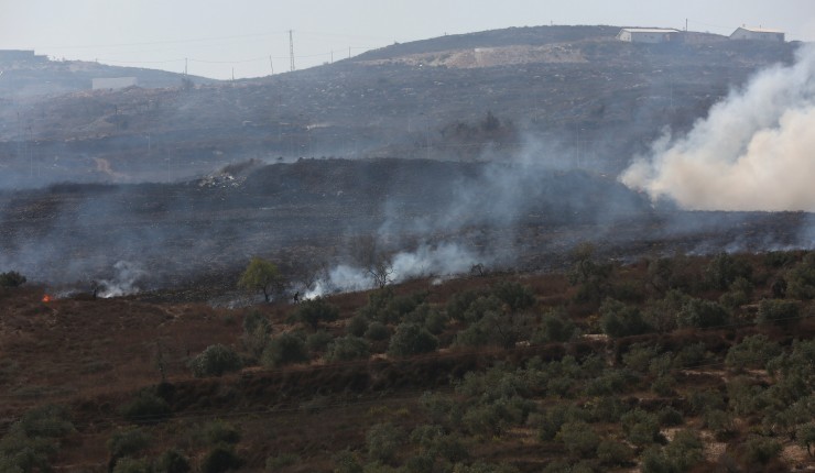 نابلس: مستوطنون يحرقون عشرات أشجار الزيتون في بورين