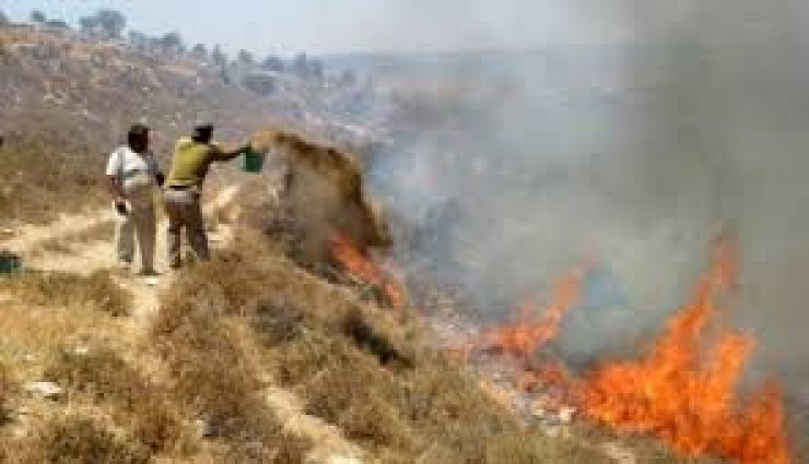مستوطنون يضرمون النار في أراضي جنوب نابلس 