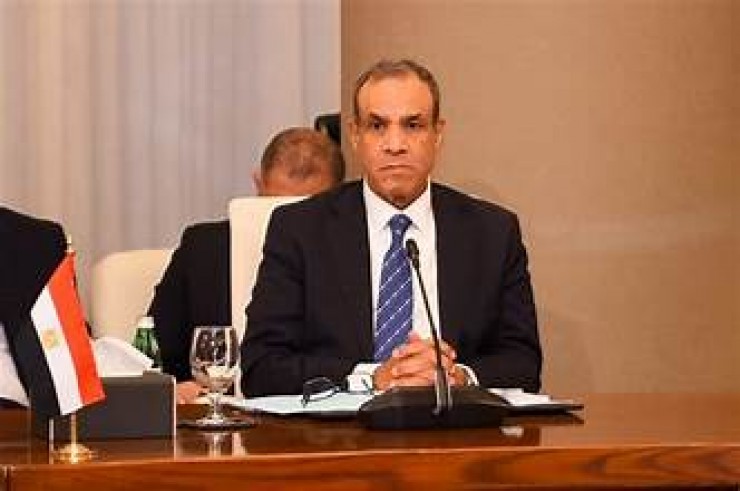 وزير الخارجية المصري يبحث مع نائب الرئيس الفلسطيني مشروع قرار مجلس الأمن بشأن غزة