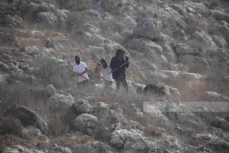 إصابات وإحراق منزل ومركبتين في هجوم مستعمرين على بلدة سعير