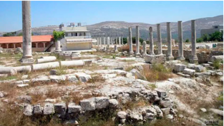 فعاليات بمحافظة نابلس تطالب بالتدخل العالمي لحماية الموروث التاريخي في بلدة سبسطية 