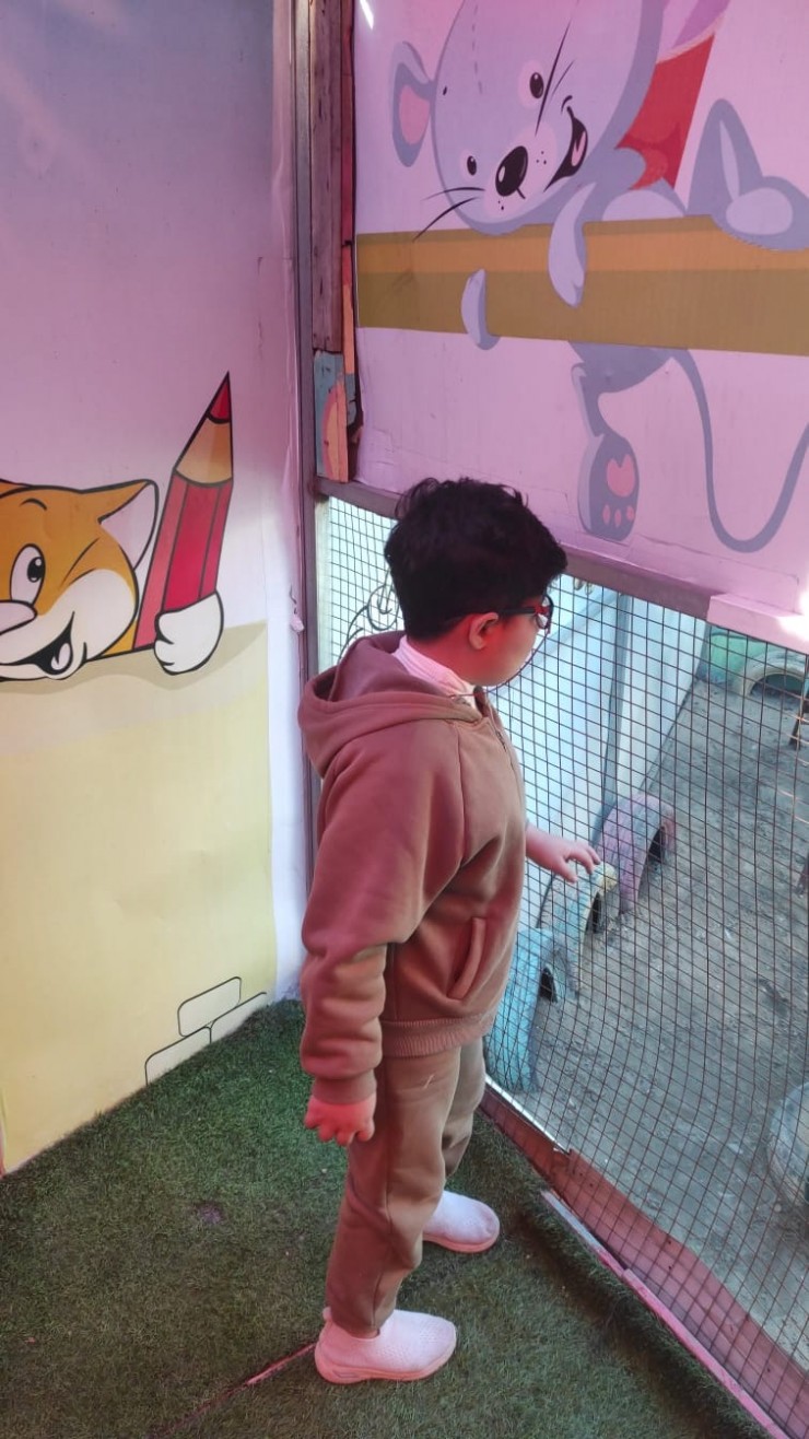 صرخة حياة في وجه الموت: حكاية بيسان من غزة