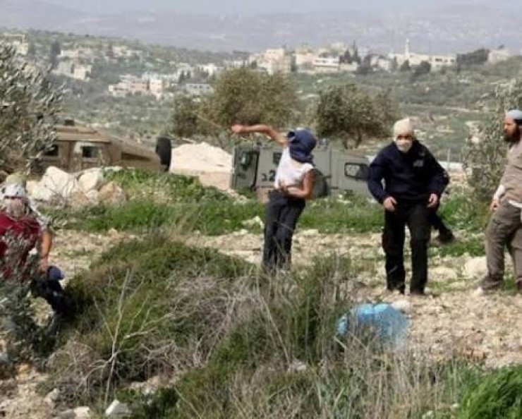مستعمرون يقتحمون محيط منزل ويقصّون السياج في الطيبة شرق رام الله