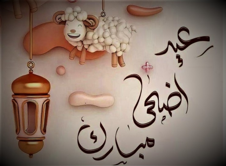 مفتي فلسطين يحدد موعد صلاة عيد الأضحى لعام 1447ه‍/ 2026م