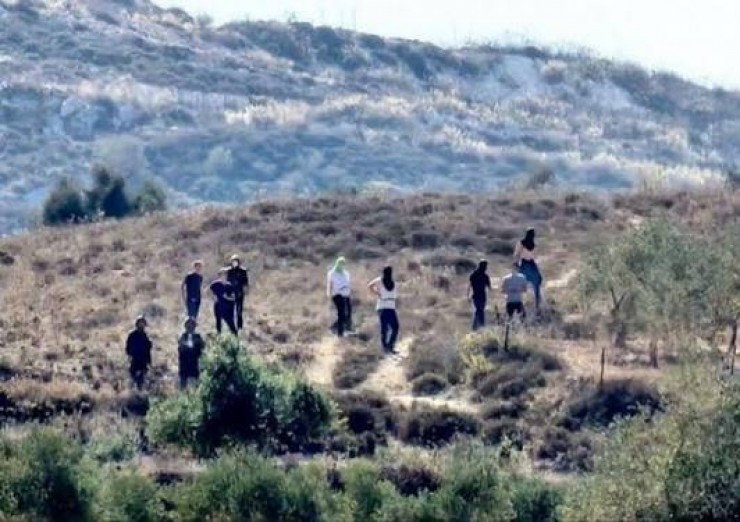 مستوطنون يهاجمون قرية المغير شمال شرق رام الله