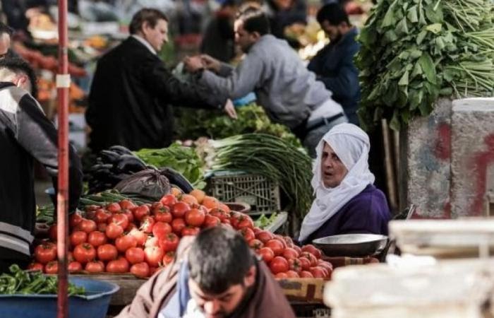 أسعار الدجاج واللحوم والخضروات في غزة اليوم الأربعاء
