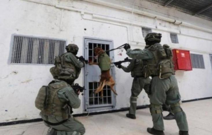 إدارة سجون الاحتلال تصعّد من عمليات الاقتحام للسجون والتنكيل بالأسرى