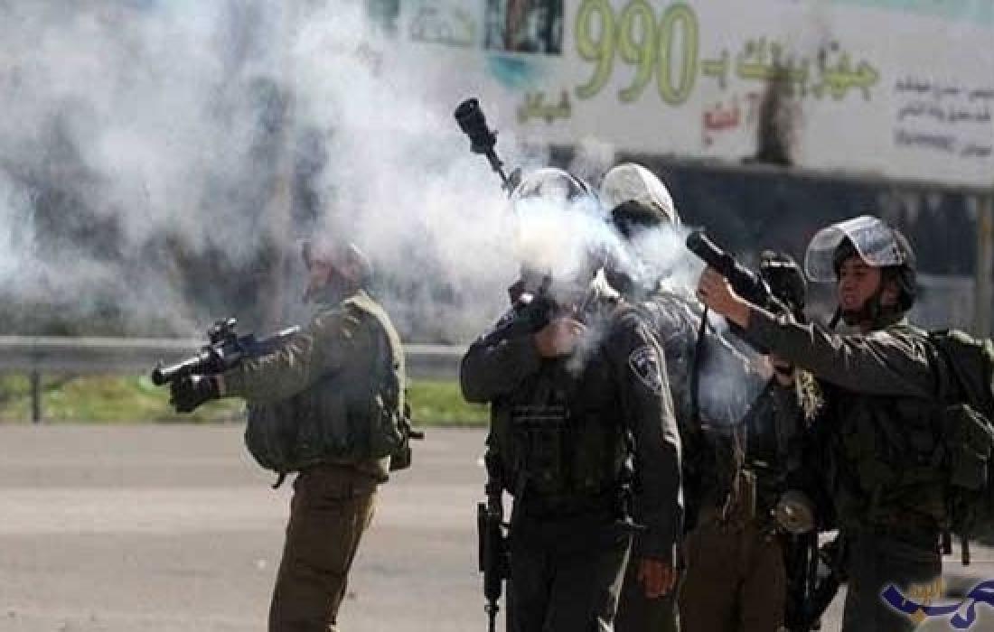 القدس: اعتقال أربعة مواطنين من العيسوية 