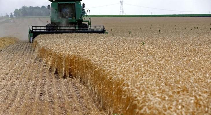 توقعات بتراجع إنتاج المحاصيل الأوكرانية إلى النصف خلال العام