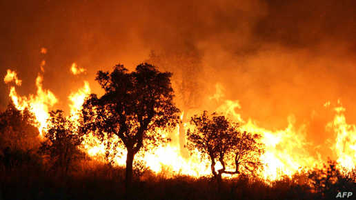أربعة قتلى جراء حرائق الغابات في الجزائر
