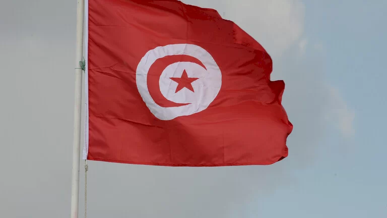 تونس.. دعوات للتظاهر اليوم ضد قرارات سعيد