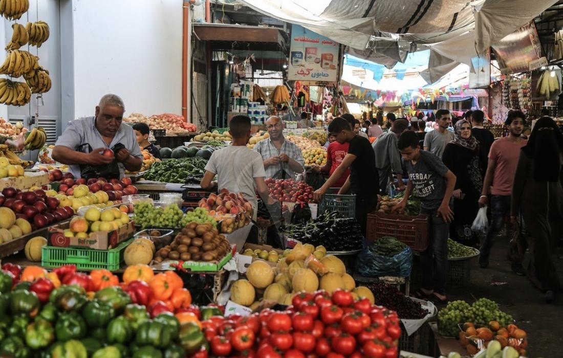 طالع: أسعار الخضروات والدجاج في غزة اليوم الخميس