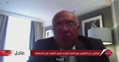 وزير الخارجية المصري: العملية العسكرية على غزة تهدد مستقبل السلام والاستقرار فى المنطقة