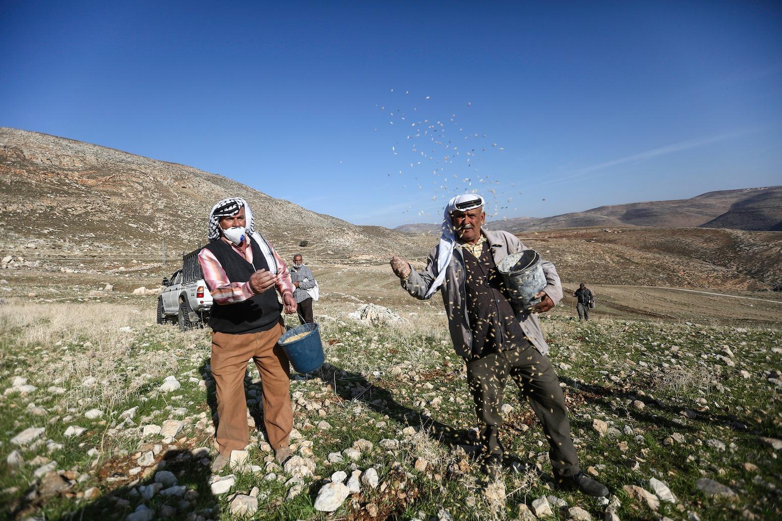 المزارعون في كفر مالك يغرسون أراضيهم بعد رفع منع الاحتلال الإسرائيلي 