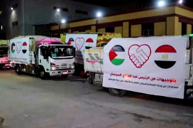 الصحة بغزة توضح موقفها من فيديو مسئ للمساعدات الطبية المصرية المقدمة للقطاع