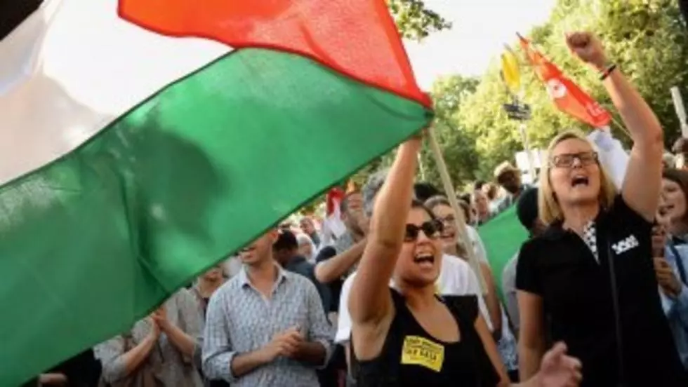 فرنسا تحظر مظاهرة مؤيدة للفلسطينيين.. والمنظمون يطعنون بالقرار