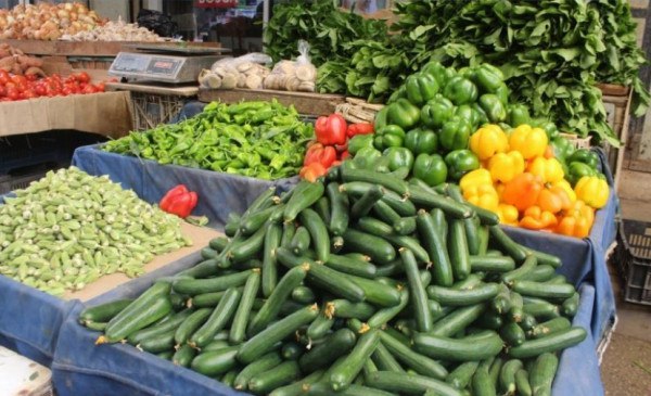 غزة.. الأسعار المحدثة للخضروات والدجاج واللحوم اليوم الخميس
