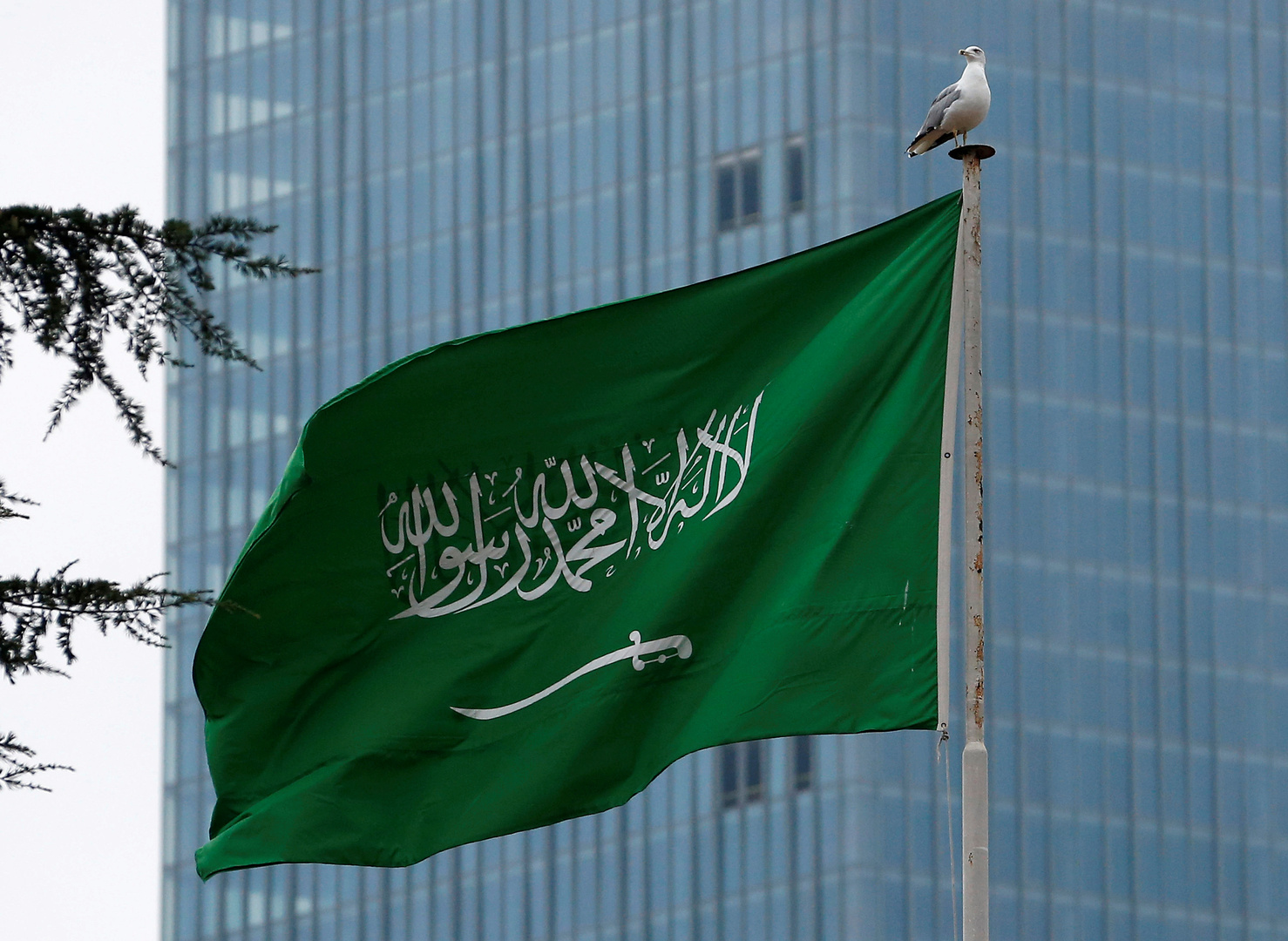 السعودية تؤكد حق شعبنا في تقرير مصيره واسترداد ‏حقوقه المشروعة وإقامة دولته المستقلة
