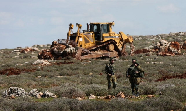 الخليل.. الاحتلال يجرف أراضي ويقتلع 400 شجرة زيتون وكرمة في بيرين