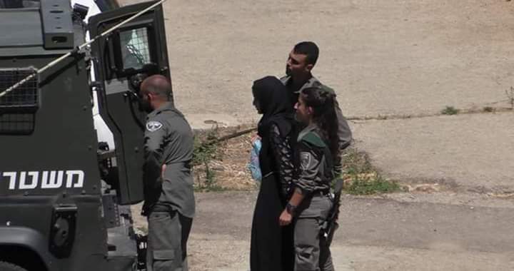 الاحتلال يعتقل سيدة ويعتدي على موظف في هيئة مقاومة الجدار والاستيطان في بيت لحم  
