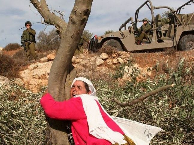 الخارجية والمغتربين: المرأة الفلسطينية صانعة السلام