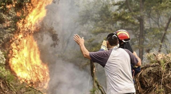 مصر ترسل مروحيتين إلى اليونان للمساهمة بإخماد حرائق الغابات
