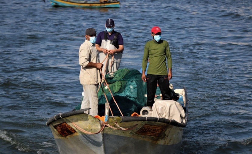 بعد التوقف يومين.. عودة الصيادين للعمل داخل بحر غزة