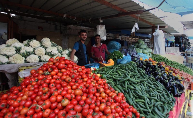 غزة.. الأسعار المحدثة للخضروات والدجاج والبيض واللحوم اليوم الأحد