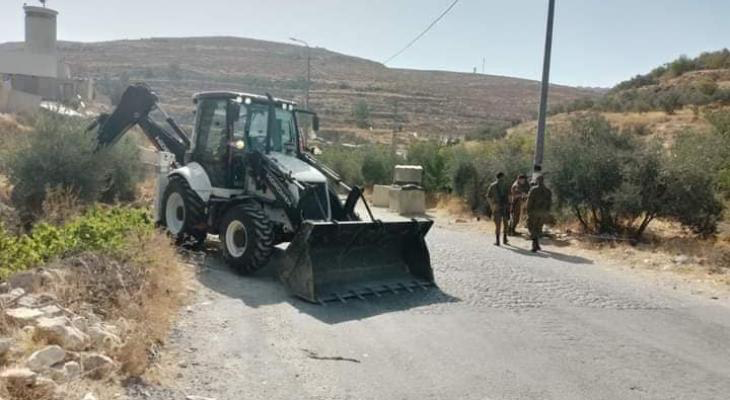 الخليل: الاحتلال يقتلع 100 شجرة زيتون في منطقة واد سعير
