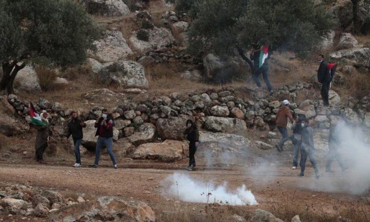 إصابة العشرات من الفلسطينين بالاختناق خلال قمع قوات الاحتلال مسيرة بيت دجن الأسبوعية