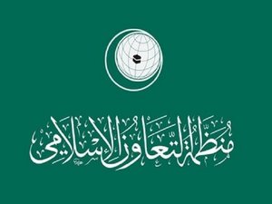 «التعاون الإسلامي» تجدد التزامها بدعم حقوق الشعب الفلسطيني المشروعة في الذكرى 103 لإعلان بلفور