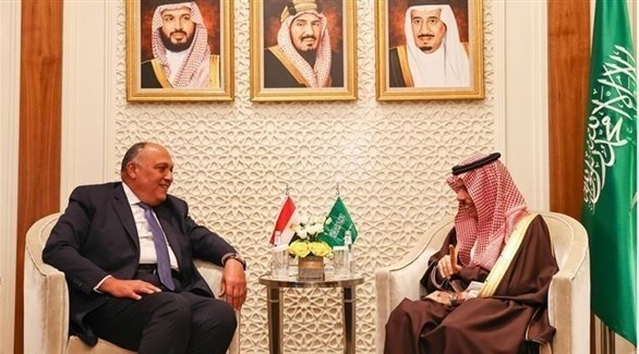 وزيرا الخارجية المصرية والسعودية يبحثا تطورات الأوضاع في الأراضي الفلسطينية