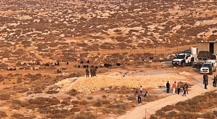 الخليل: مستوطنون يدمرون 200 شجرة زيتون قرب يطا