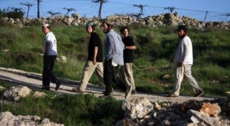 مستوطنون يضرمون النار في أراضي حوسان غرب بيت لحم